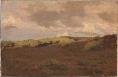 Heath maisema. Syksy