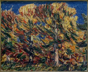Syksyinen metsä