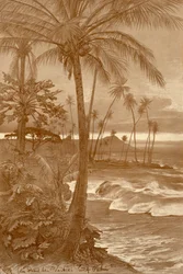 Ranta Waikikissa, Havaijilla, 1898.