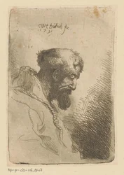 Franciscan katsoo alas