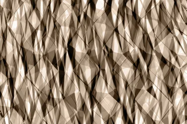 Abstrakti sepia-geometria