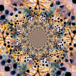 Monimutkainen orgaaninen kaleidoskooppi