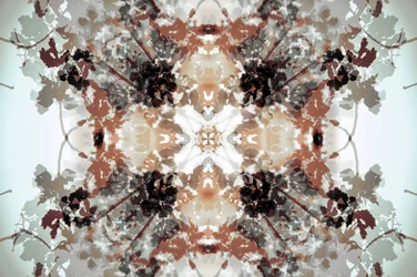 Hillitty kasvitieteellinen kaleidoskooppi