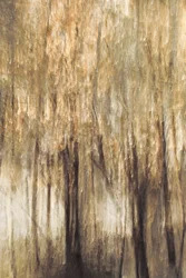 Rauhallisen metsän liike