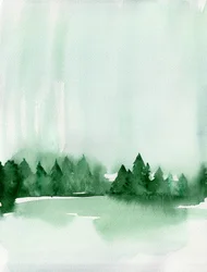 Sumuisen metsän järvi