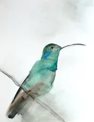 Vesivärimaalaus: sinivihreä kolibri