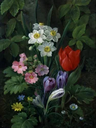 Puutarhakukat keväällä (mukaan lukien päivänkakkarat, tulppaanit, narsissit, krookukset ja esikot). Christine Marie Lovmandin (1803-1872) maalaus Yksityiskokoelma.
