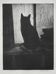 Kissa