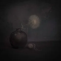 Tumma voikukka-asetelma