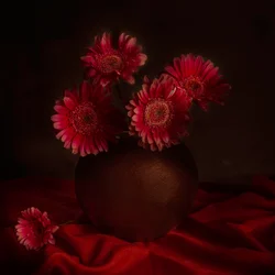Tunnelmallinen gerbera-asetelma