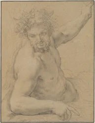 Faun makuuasennossa