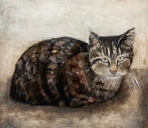 Utelias tabbykissa