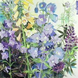 Delphiniums ja Foxgloves