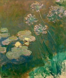 Nymphéas et Agapanthes (vesi liljat ja agapanthus)