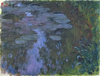 Nympheas