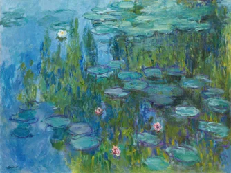 Vesililjat