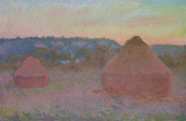 Vehnäpinot (päivän lopussa, syksy)
