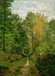 Metsäpolku