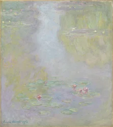 Lumpeet