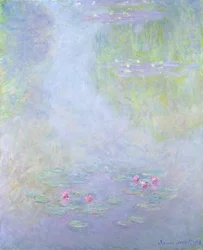 Vesililjat