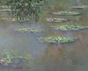 Lummet, 1903