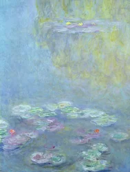 Lummet, 1906 (242510:n yksityiskohta)
