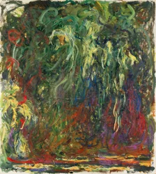 Riippapaju, 1920-1922