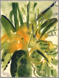 Primroses, 2005 (akvarelli)