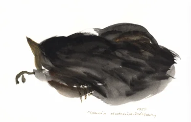 Nukkuva kissa, 1985 (akvarelli)