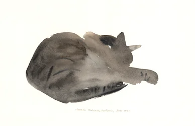 Nukkuva kissa, 1985 (akvarelli)