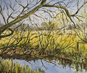 Water Meadows, Kintbury, toukokuun alussa iltapäivällä