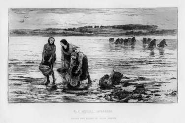 Simpukankeräilijät, 1890.