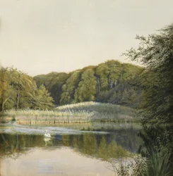 Joutsenet Paddington Pondilla, 1860-luku (wc paperilla)