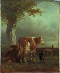 Lehmät laitumella