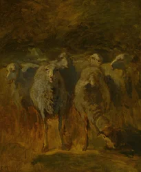Keskeneräinen tutkimus lampaista, n. 1850.
