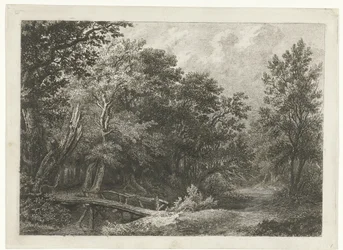 Metsänäkymä puusillalla