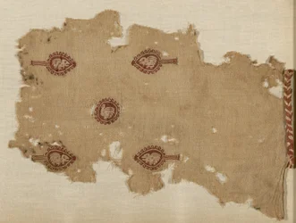 Fragmentti (tunika)