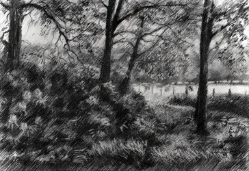 Rauhallinen Forest Lake
