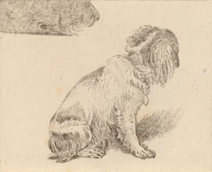 Istuva koira, 1777.