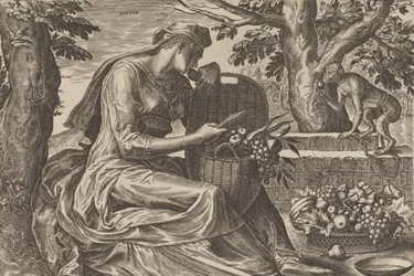 Taste, viidestä aistista, 1561.