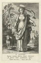 H. Agnes Mirror of the Illustrious Virgins (sarjan nimi)