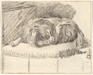 Nukkuva koira, 1777.
