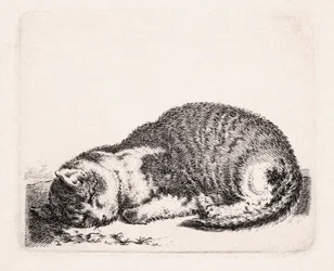 Nukkuva kissa, n. 1607-1681