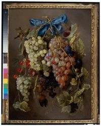 Rypäleiden, kirsikoiden ja luumujen asetelma, joka roikkuu naulosta sinisellä nauhalla