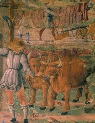 Kuvia maalaiselämästä, yksityiskohta Ceresin voitosta, kohtaus elokuusta, Cosimo Tura (noin 1430-1495) ja Ercolen mestari, fresko, pohjoisseinä, Kuukausien sali, Palazzo Schifanoia (Ilon palatsi), Ferrara , Italia, noin 1470