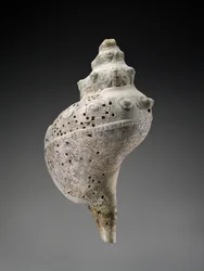 Taivaallinen simpukankuori kalloineen, AD 900-1521 (kuori)