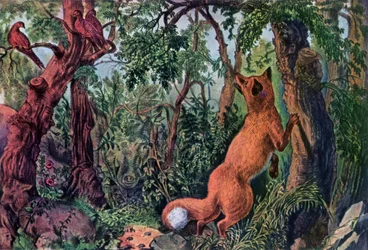 Hämmentynyt kettu, 1872.