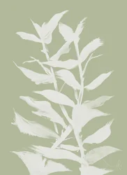 Yrtti