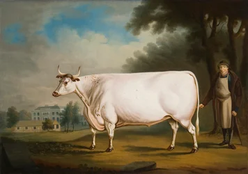 "Nannau Ox", 1824