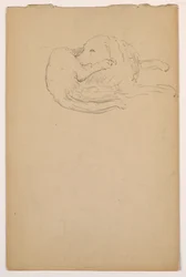 Piirros, Dash (setteri), n. 1862.